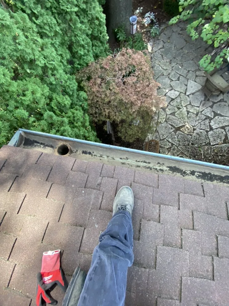Reliable yard maintenance for homes in Aurora, IL by Jordans Gutter