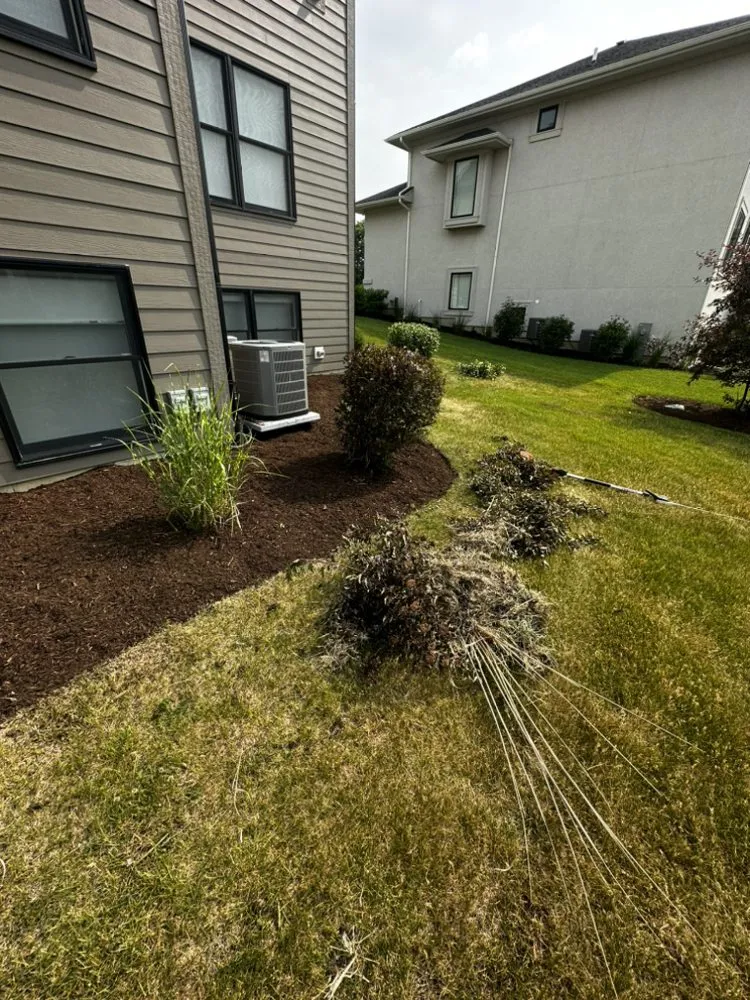 Trusted yard maintenance in Aurora, IL - Jordans Gutter