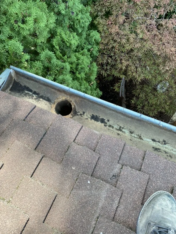 Custom residential landscaping near you across Aurora, IL - Jordans Gutter