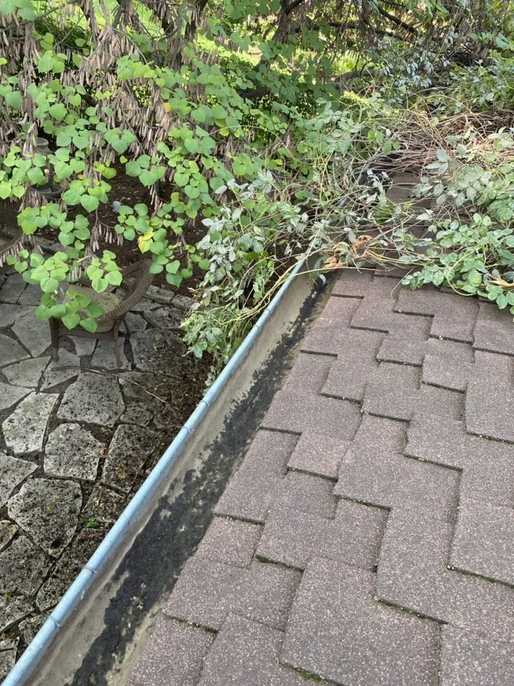 Top-rated lawn mowing service for outdoor upgrades in Aurora, IL by Jordans Gutter