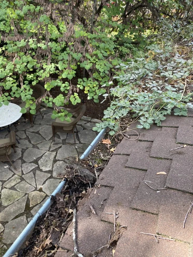 Expert yard maintenance for residential properties in Aurora, IL by Jordans Gutter