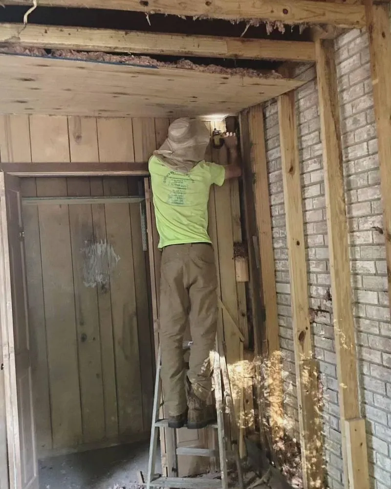 Professional residential landscaping for year-round maintenance in North Little Rock, AR by Jordans Lawn Care & Handyman Services