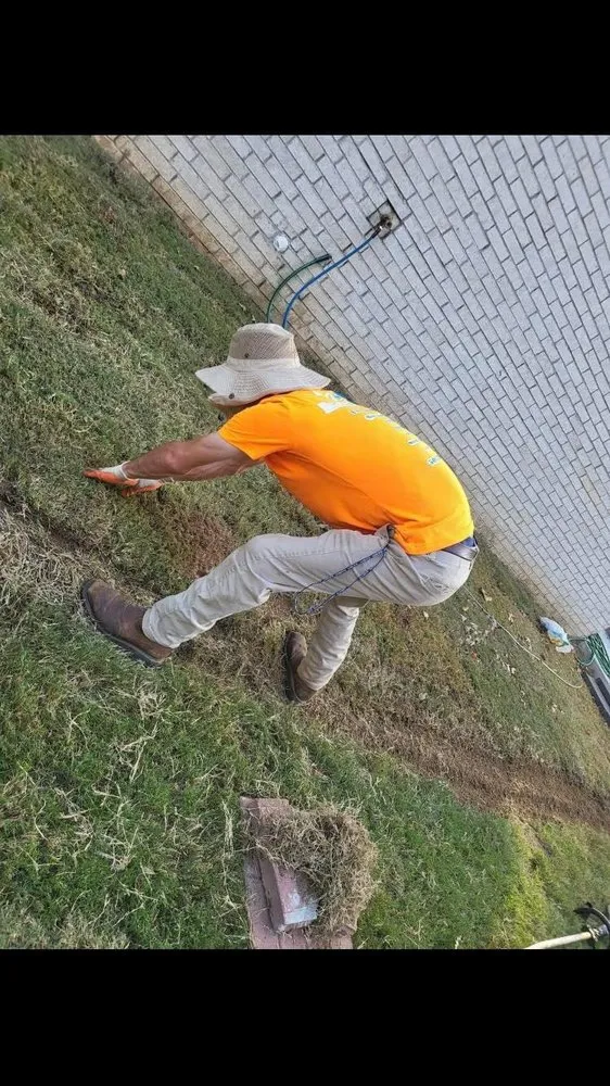 Local yard cleanup service in North Little Rock, AR by Jordans Lawn Care & Handyman Services