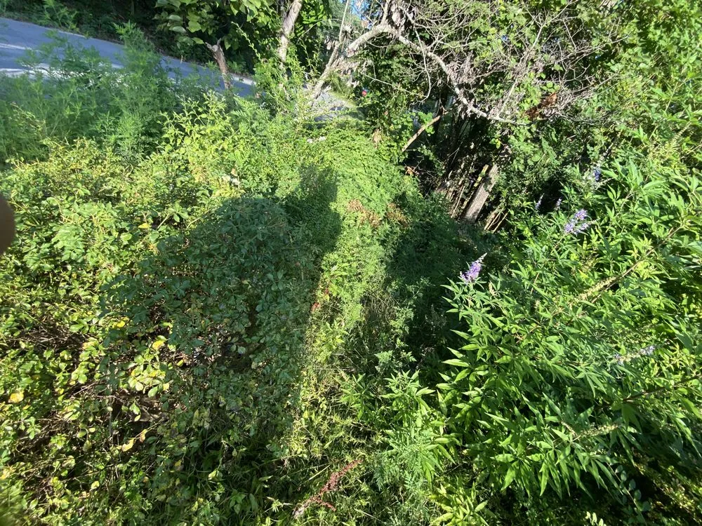 Professional residential landscaping for residential properties across North Little Rock, AR - Jordans Lawn Care & Handyman Services