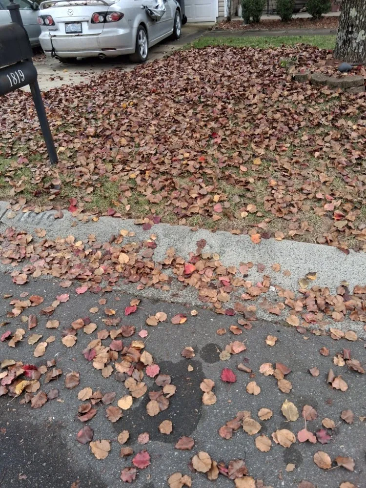 Trusted landscape design for residential properties across Charlotte, NC - Jordan's Lawn Care