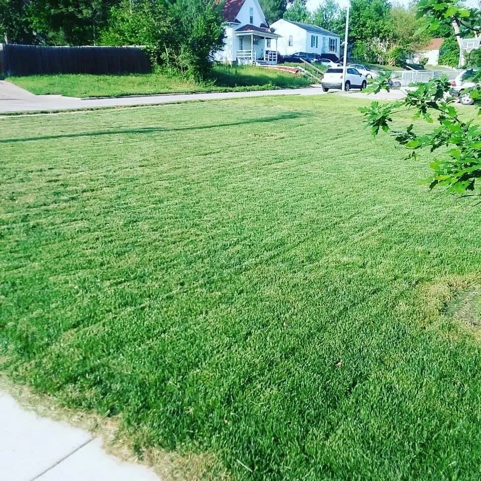 Trusted landscaping services for beautiful yards across Charlotte, NC - Jordan's Lawn Care