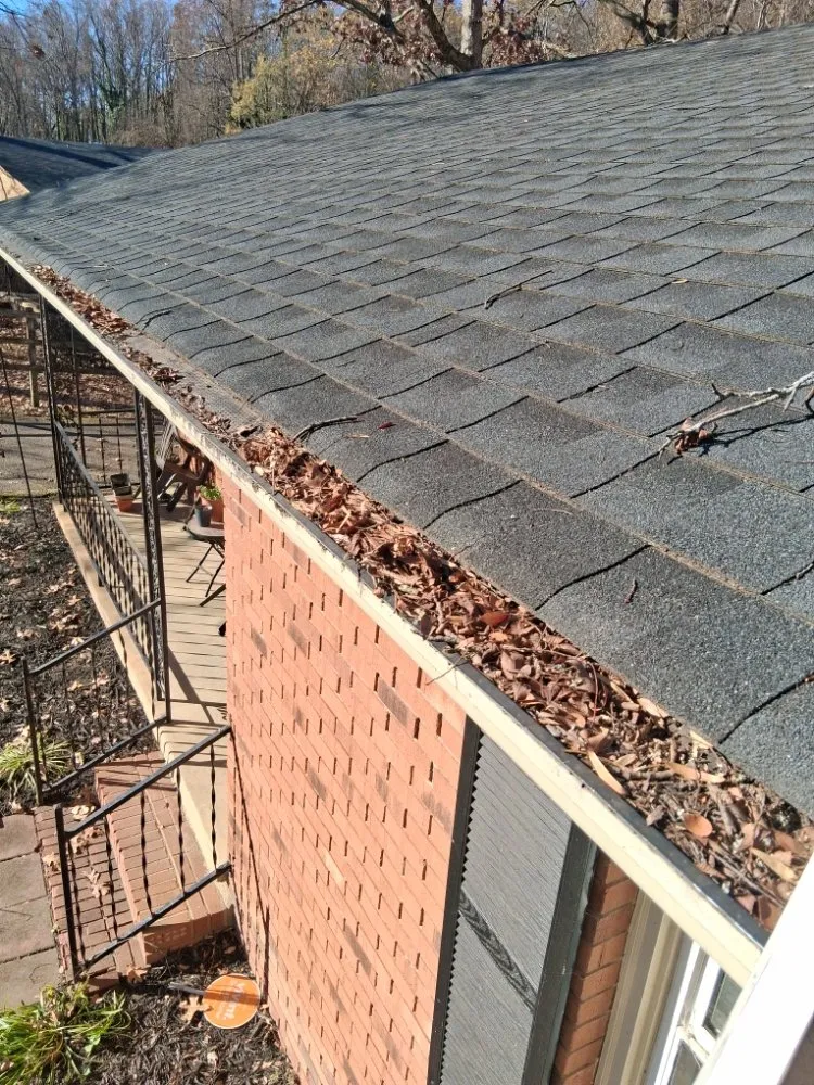 Custom yard cleanup service in Charlotte, NC by Jordan's Lawn Care