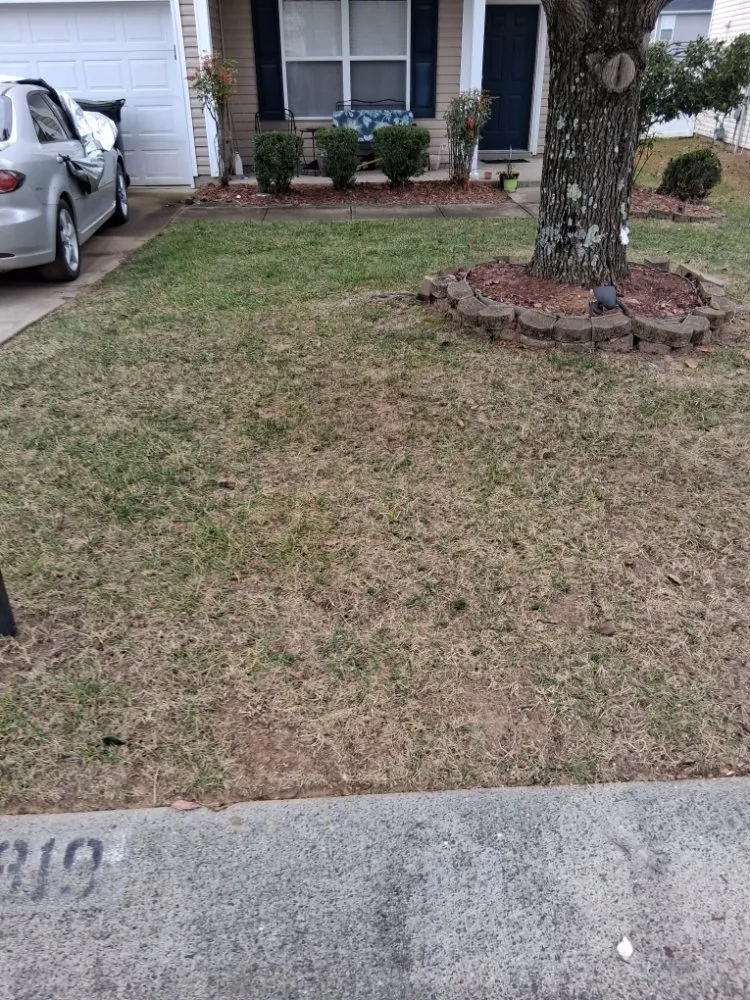 Top-rated lawn care service experts serving Charlotte, NC - Jordan's Lawn Care