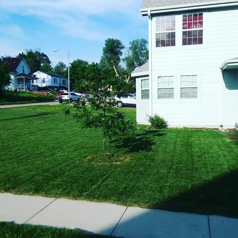 Professional landscape design in Charlotte, NC by Jordan's Lawn Care