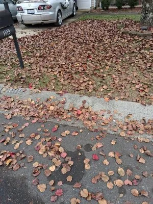 Jordan's Lawn Care Logo