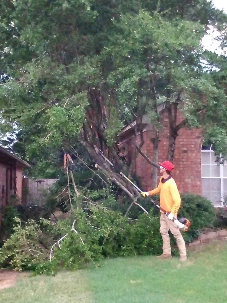 Affordable yard maintenance in North Little Rock, AR - Jordans Lawn Care