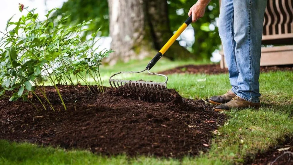 Trusted residential landscaping for residential properties across North Little Rock, AR - Jordans Lawn Care