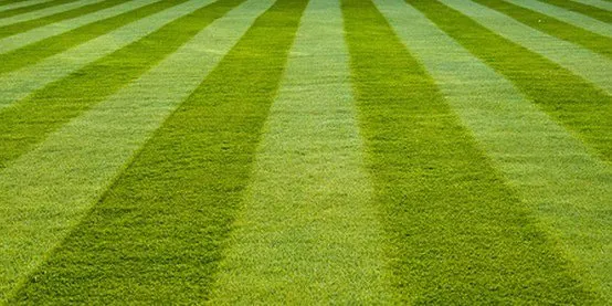 Reliable lawn care service for homes in Racine, WI by Jordans Lawn Care