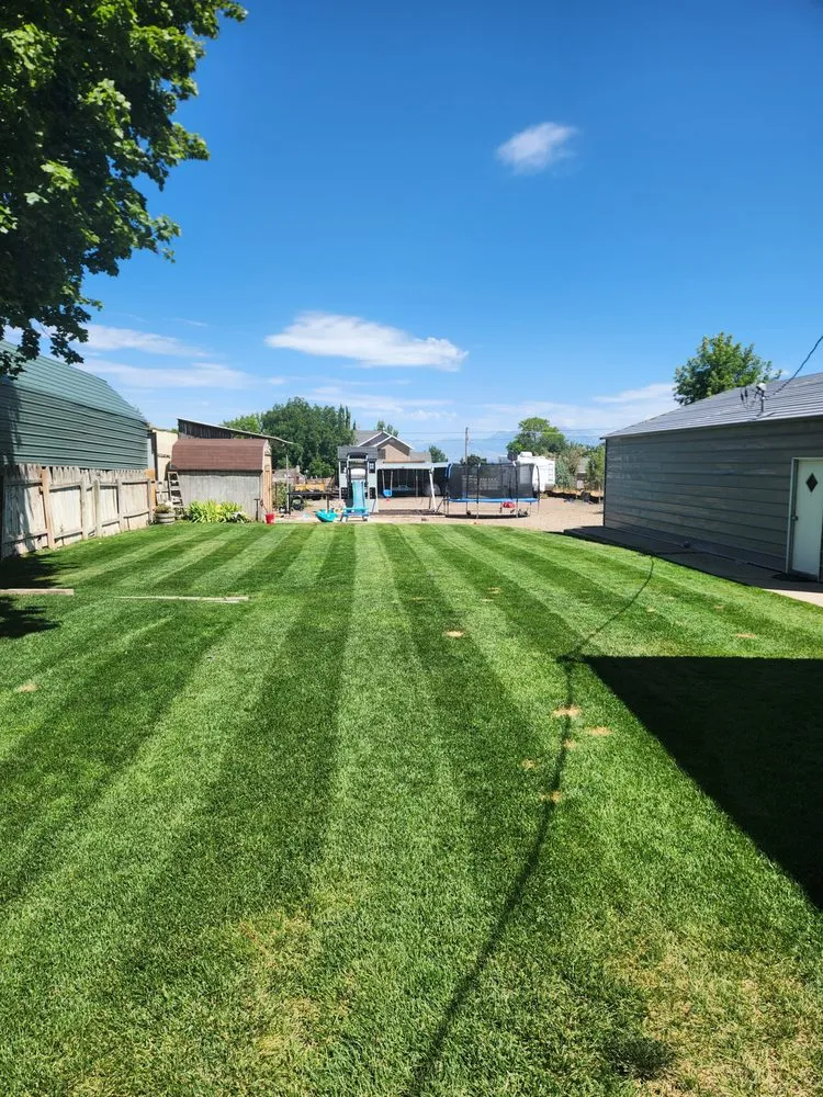 Custom yard cleanup service in Santaquin, UT - Jordan’s Lawn Care