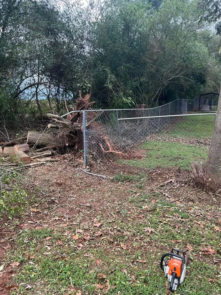 Professional landscape design for year-round maintenance in Westminster, SC by Jordan’s Lawn Maintenance