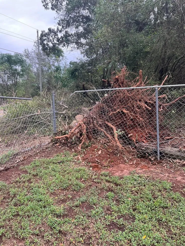 Affordable lawn care service near you across Westminster, SC - Jordan’s Lawn Maintenance
