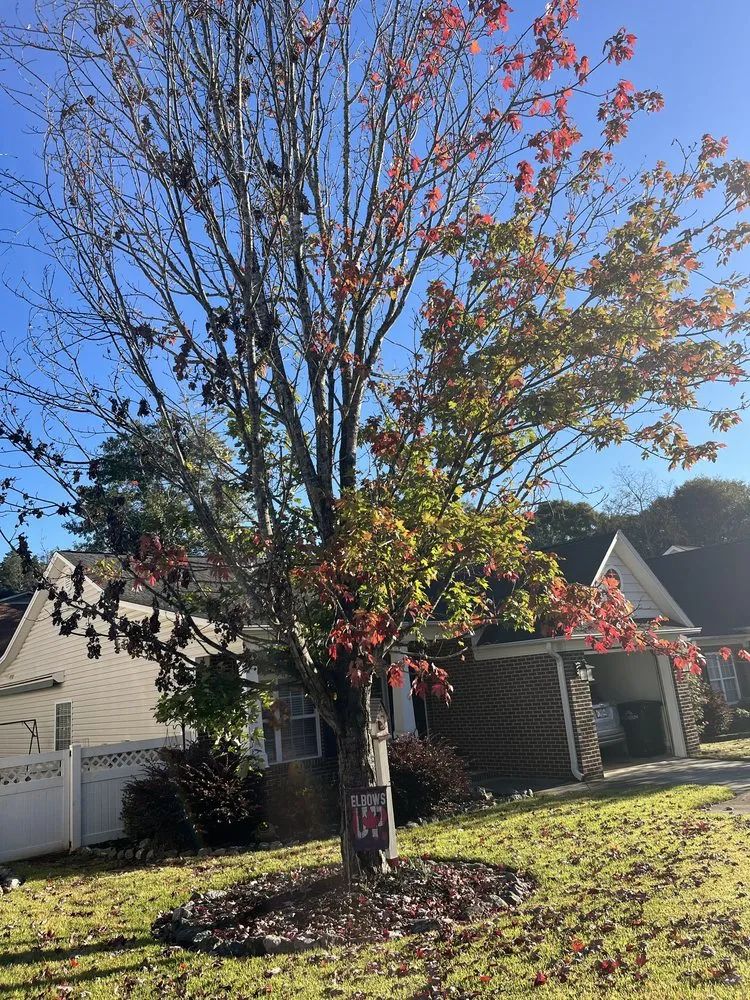 Professional landscaping services experts serving Westminster, SC - Jordan’s Lawn Maintenance