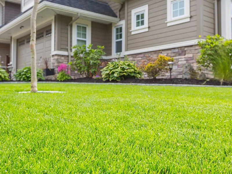 Custom yard maintenance in St. Peters, MO - Jordans lawncare