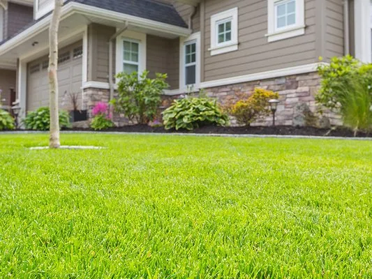 Jordans lawncare Logo