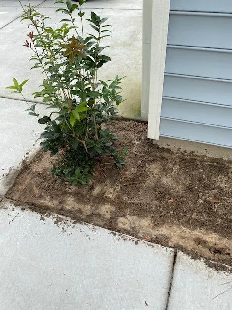 Affordable landscaping services near you across North Charleston, SC - Jordan’s legacy operations