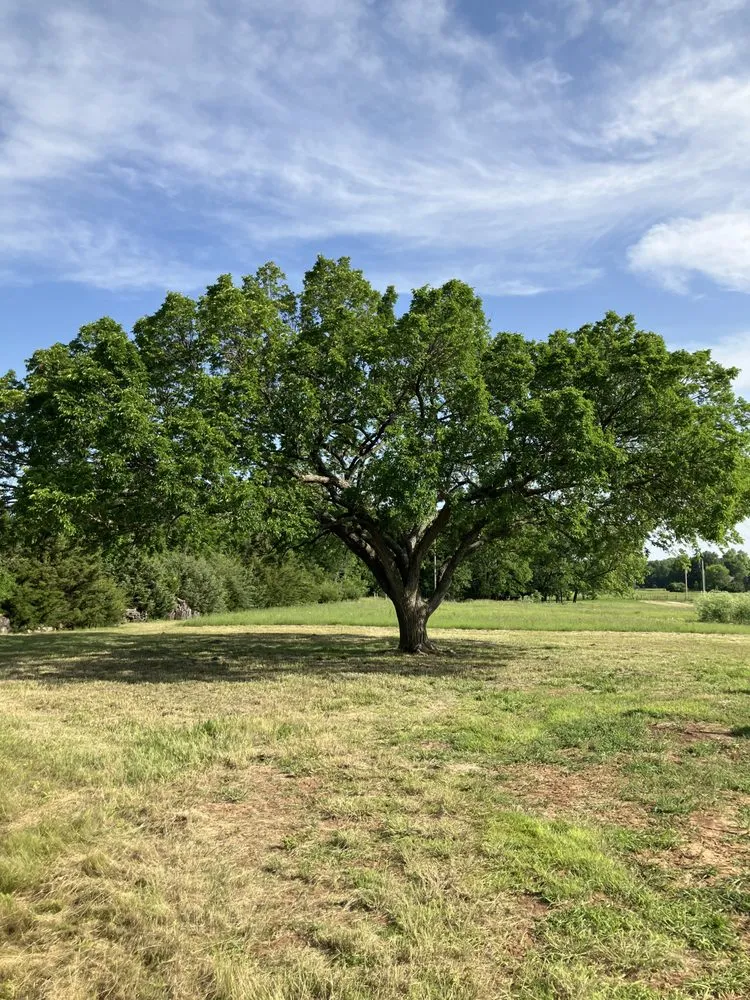 Custom lawn mowing service in Andover, KS - Jordan’s Outdoor Services