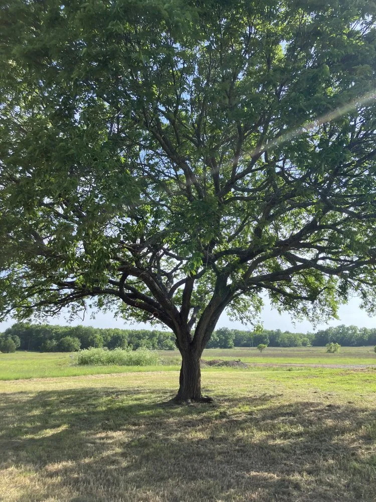 Reliable lawn care service experts serving Andover, KS - Jordan’s Outdoor Services