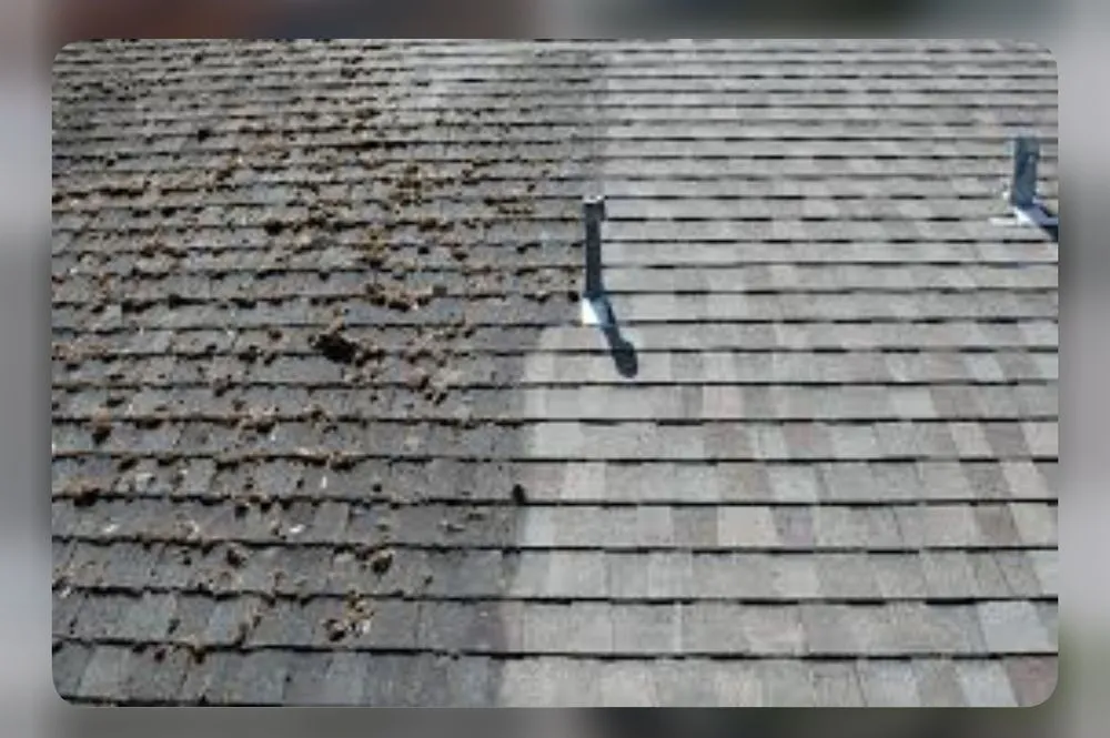 Trusted landscaping services for residential properties in Guyton, GA by Jordan’s Pressure Washing Service / Landscape