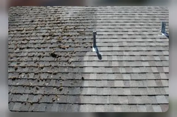 Jordan’s Pressure Washing Service / Landscape Logo