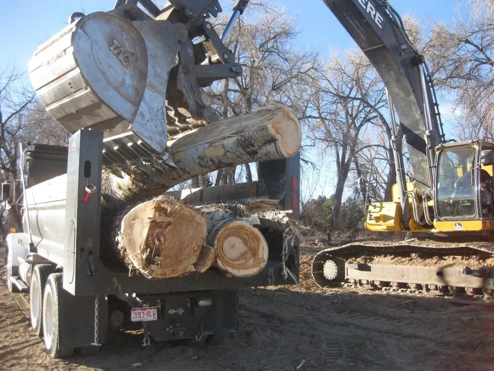 Affordable landscape installation near you in Fort Collins, CO by Jordan's Tree Moving & Maintenance