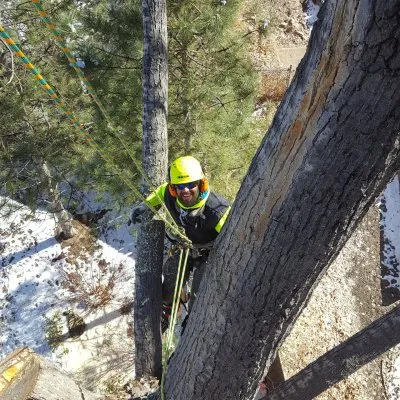 Custom yard cleanup service for homes in Fort Collins, CO by Jordan's Tree Moving & Maintenance
