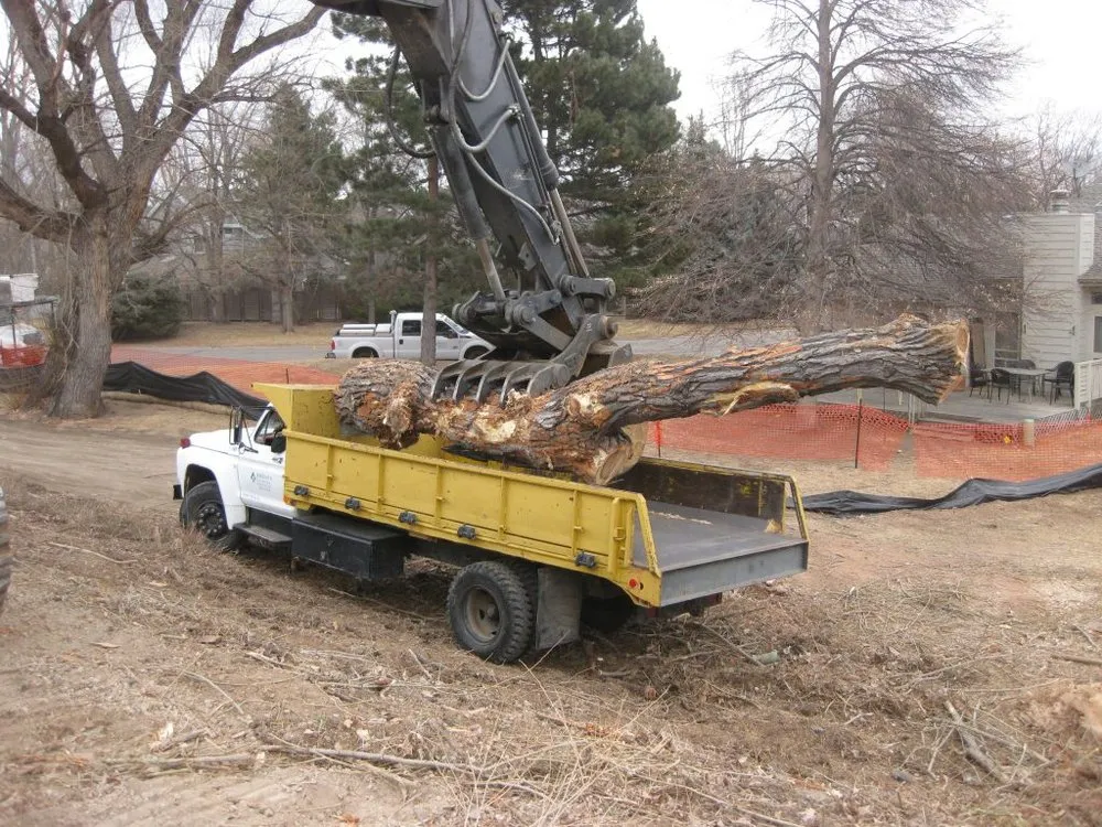 Trusted landscaping services experts serving Fort Collins, CO - Jordan's Tree Moving & Maintenance