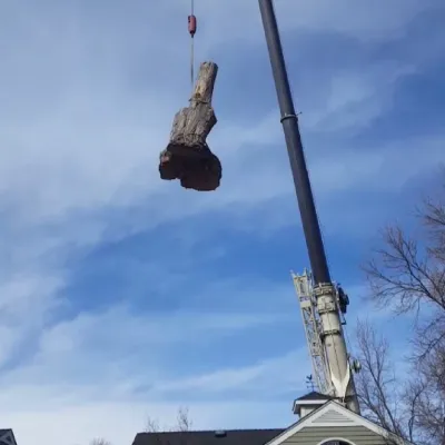 Expert landscape design in Fort Collins, CO - Jordan's Tree Moving & Maintenance