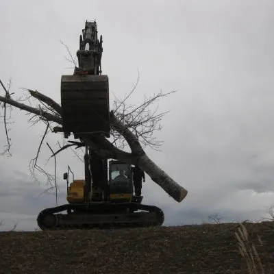 Affordable yard cleanup service for beautiful yards in Fort Collins, CO by Jordan's Tree Moving & Maintenance