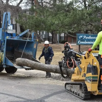 Professional lawn mowing service for homes across Fort Collins, CO - Jordan's Tree Moving & Maintenance