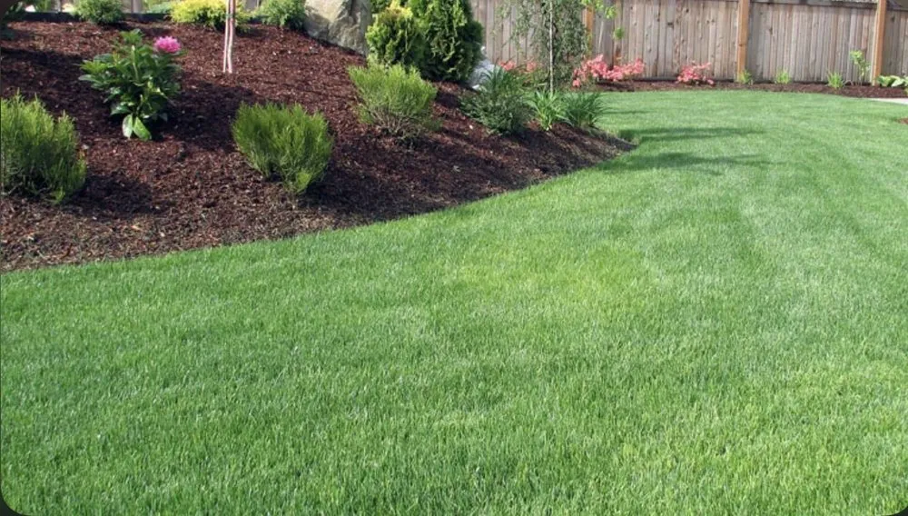 Top-rated yard maintenance experts serving Galveston, TX - Jordis Home Improvement