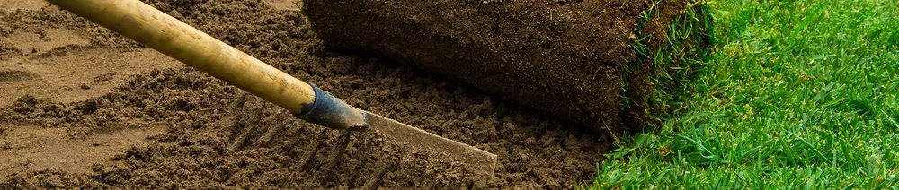 Professional outdoor landscaping in Capitol Heights, MD - Jordy Landscaping