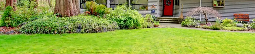 Affordable garden landscaping in Capitol Heights, MD by Jordy Landscaping