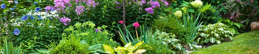 Custom lawn care service in Capitol Heights, MD by Jordy Landscaping