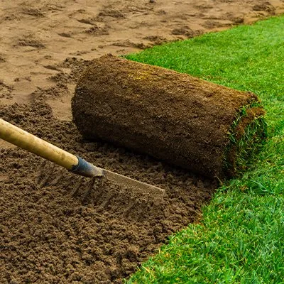 Expert yard maintenance for year-round maintenance across Capitol Heights, MD - Jordy Landscaping