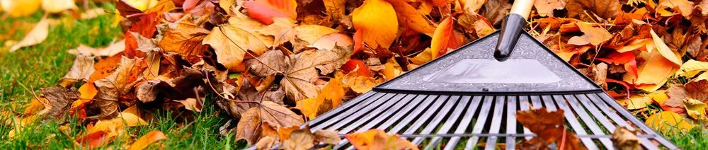 Local yard maintenance for homes across Capitol Heights, MD - Jordy Landscaping