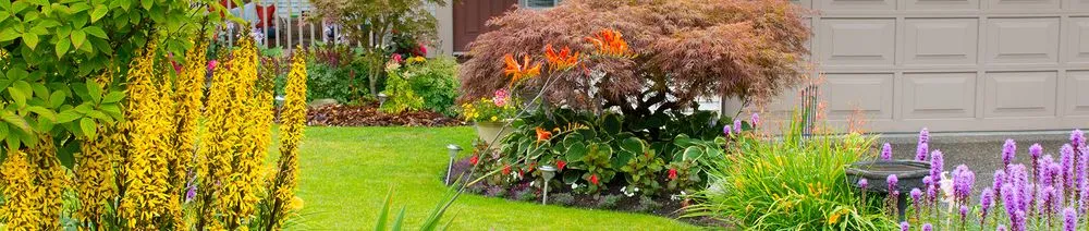 Custom residential landscaping experts serving Capitol Heights, MD - Jordy Landscaping