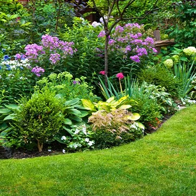 Custom lawn mowing service in Capitol Heights, MD - Jordy Landscaping