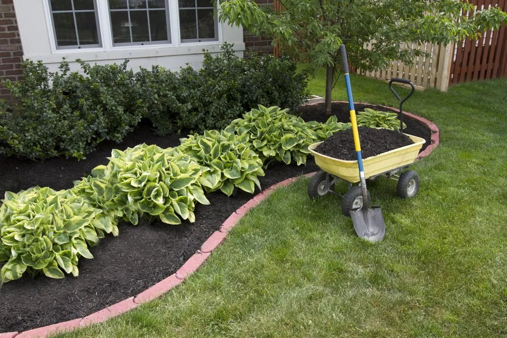 Top-rated yard cleanup service in Capitol Heights, MD - Jordy Landscaping