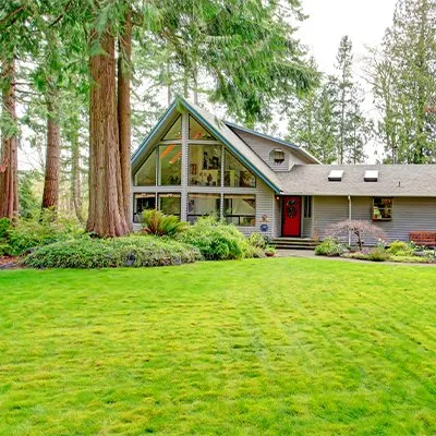 Reliable outdoor landscaping with custom design across Capitol Heights, MD - Jordy Landscaping