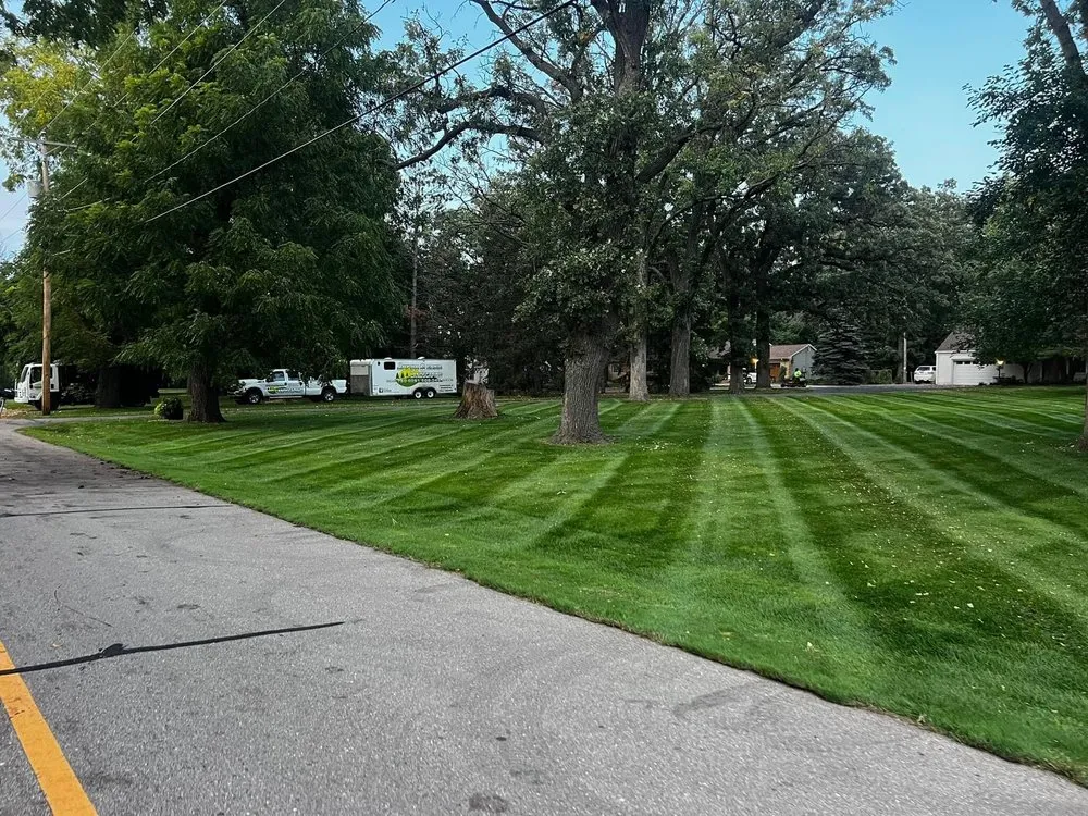 Top-rated landscape installation experts serving Beloit, WI - Jorge & Sons Landscaping