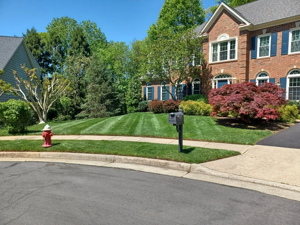Custom yard cleanup service in Herndon, VA by Jorge Aleman