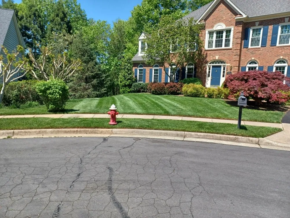 Professional landscape design experts serving Herndon, VA - Jorge Aleman