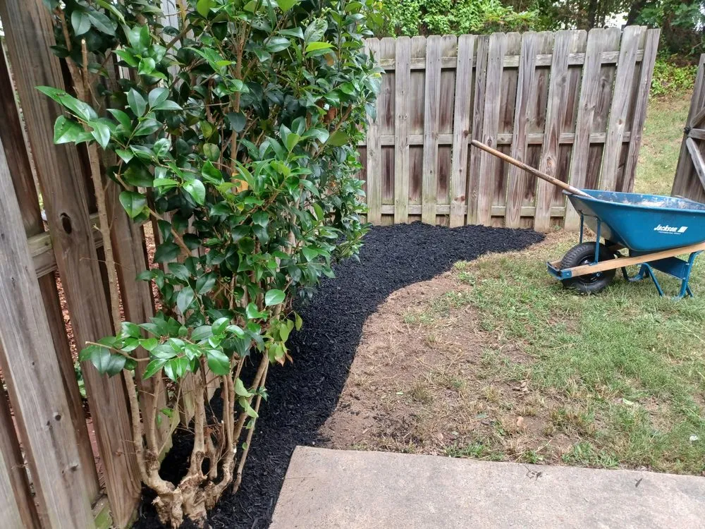 Affordable yard cleanup service in Herndon, VA - Jorge Aleman