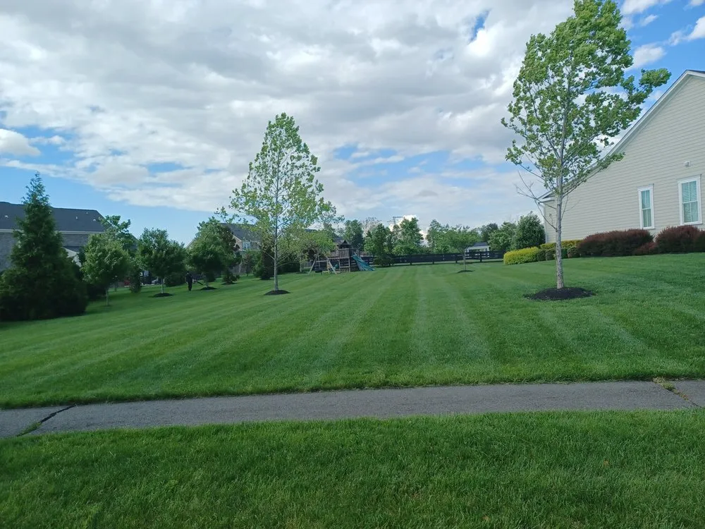 Local yard maintenance in Herndon, VA by Jorge Aleman
