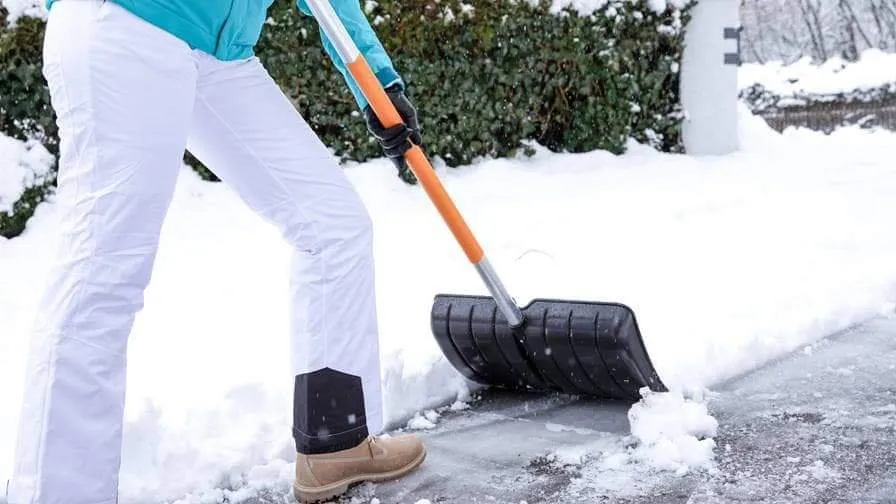 Reliable lawn care service for outdoor upgrades in Greeley, CO by Jorge Bocanegra